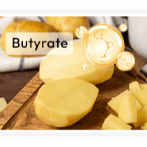 Pharmaceutical-Grade RS2 Resistant Starch