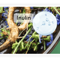 Concentrated Chicory Root Inulin
